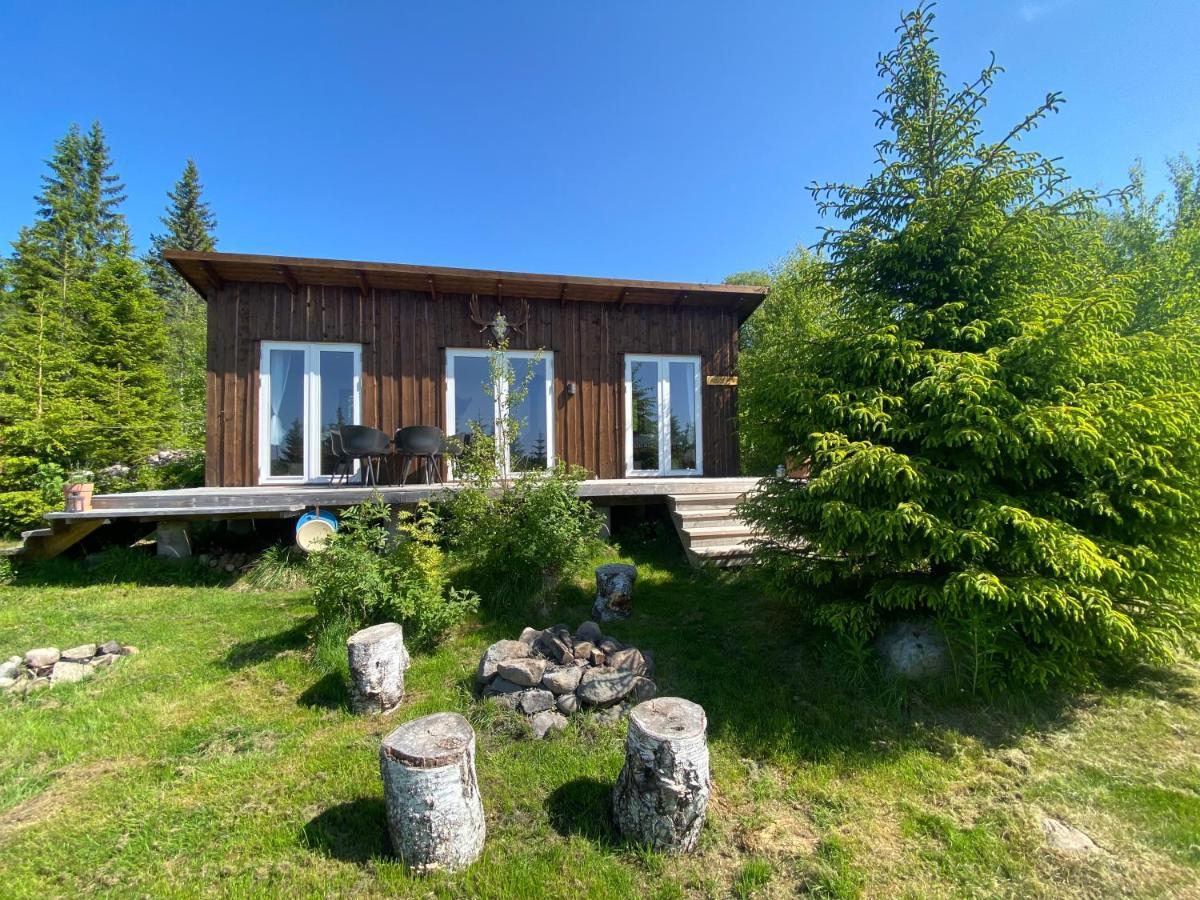 Cozy Forest Cabin With Amazing Mountain View تورسبي المظهر الخارجي الصورة