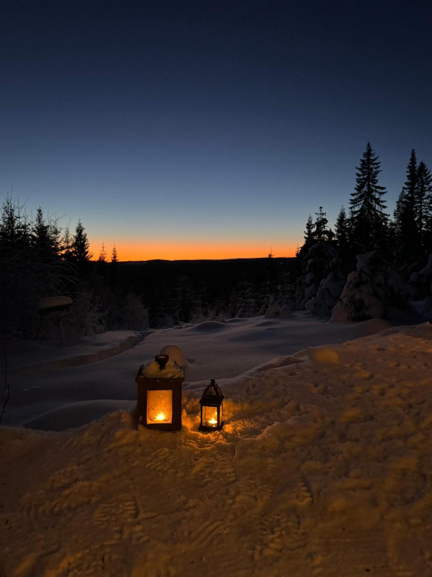 Cozy Forest Cabin With Amazing Mountain View تورسبي المظهر الخارجي الصورة