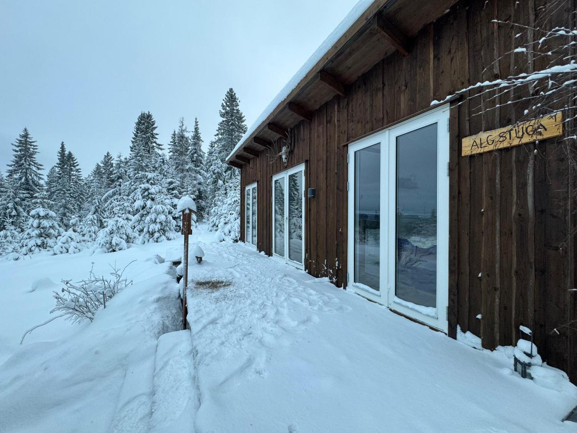 Cozy Forest Cabin With Amazing Mountain View تورسبي المظهر الخارجي الصورة