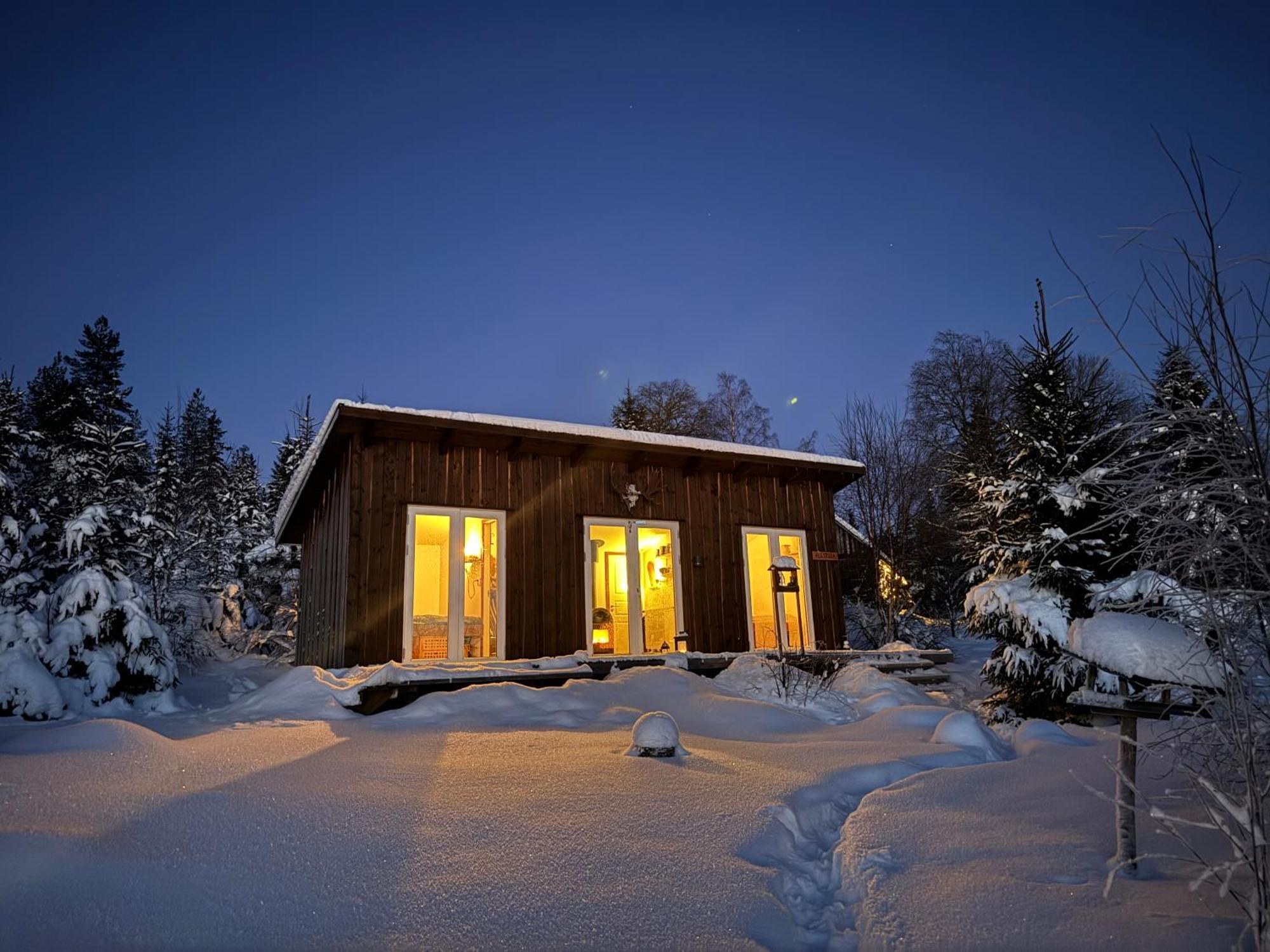 Cozy Forest Cabin With Amazing Mountain View تورسبي المظهر الخارجي الصورة