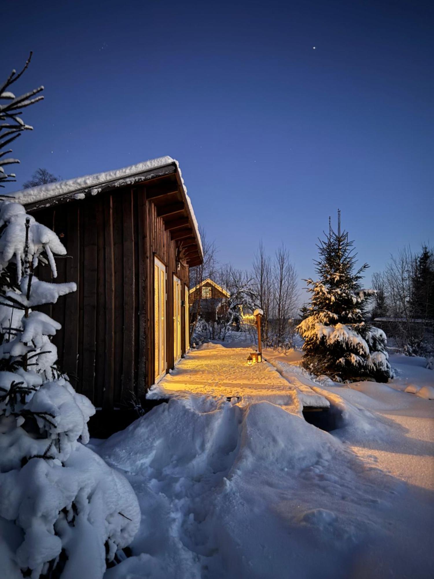 Cozy Forest Cabin With Amazing Mountain View تورسبي المظهر الخارجي الصورة