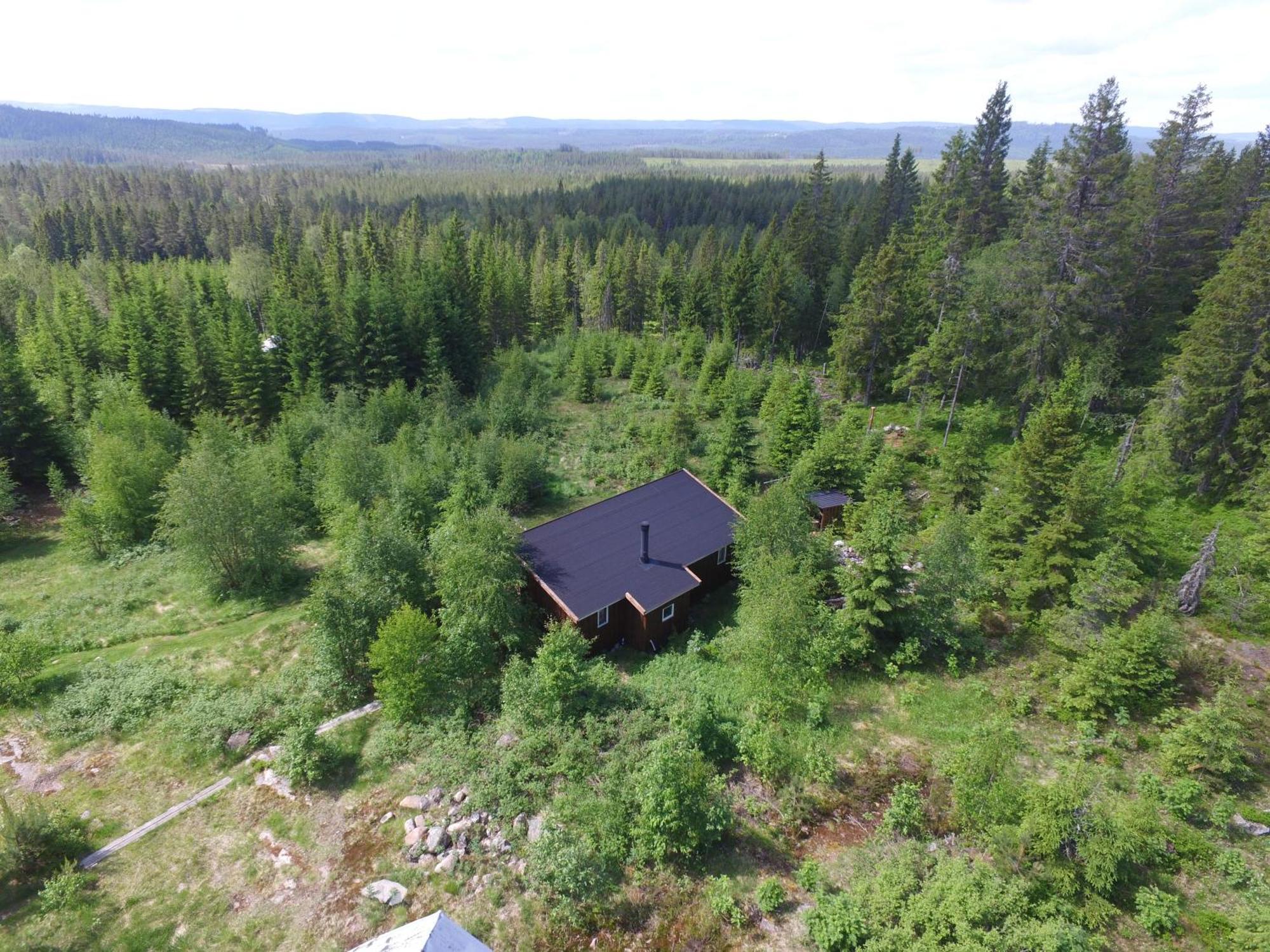 Cozy Forest Cabin With Amazing Mountain View تورسبي المظهر الخارجي الصورة