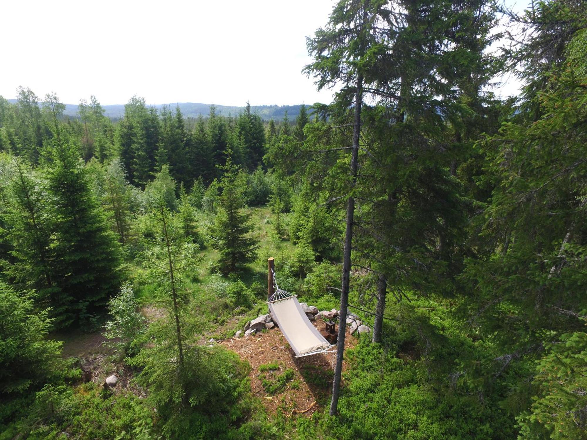 Cozy Forest Cabin With Amazing Mountain View تورسبي المظهر الخارجي الصورة
